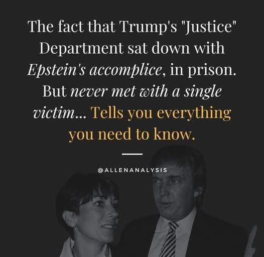 Pissed off American Voter💙💙💙🌊🌊🌊🌊 tweet media