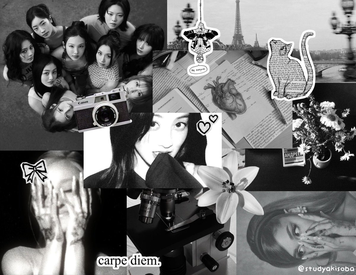 ‎yaya 𔘓 tweet media