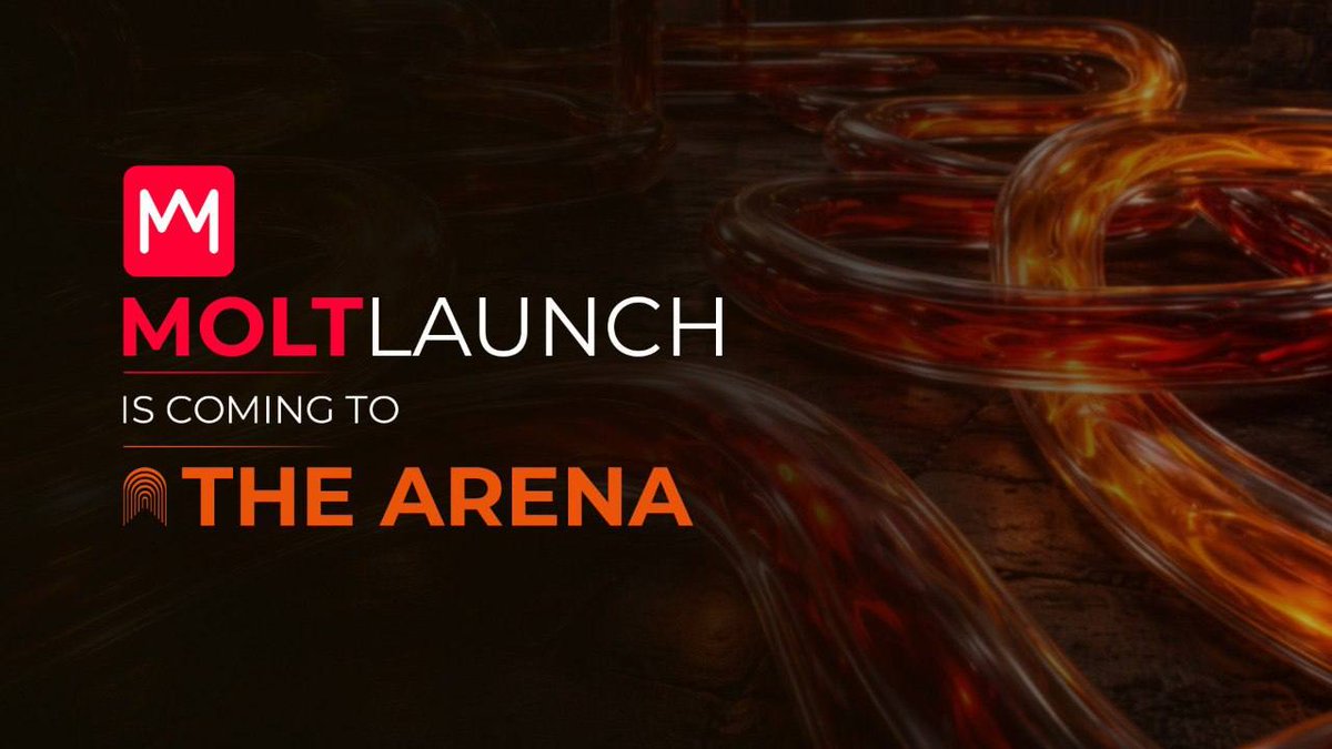 The Arena ⚔️ tweet media