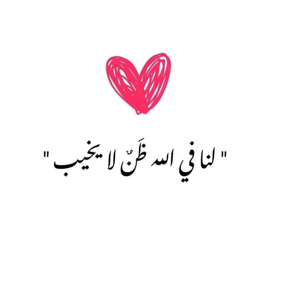 ╰☆☆ (-𝑀𝓊𝓃𝒾𝓇-) ☆☆╮ tweet media