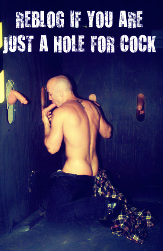 Gay Sub University🍆 tweet media