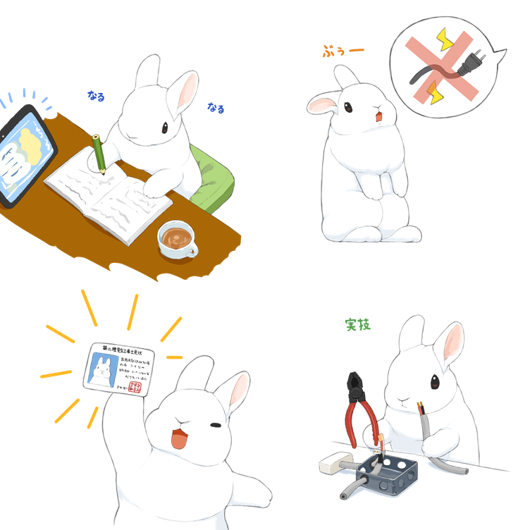 電源コードは危ないから触っちゃダメと言われたので、第二種電気工事士の資格を取ったウサギ