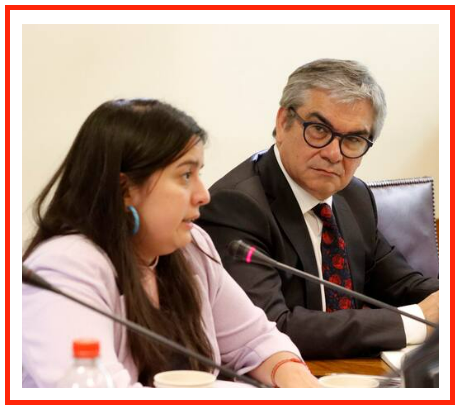 ¿Compartes que Dipres Martínez y ex Ministro Mario Marcel deben ser denunciados a la justicia?
¿A una autoridad le sale gratis dañar a Chile?
Aumentaron deuda pública, incumplieron meta fiscal durante 3 años, aumentaron déficit Fiscal, calcularon mal ingresos premeditadamente.