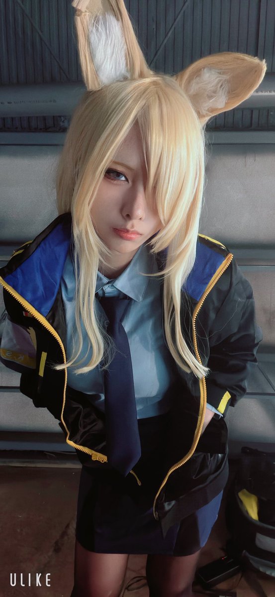 今日も今日とて労働  🐕 ͗ ͗