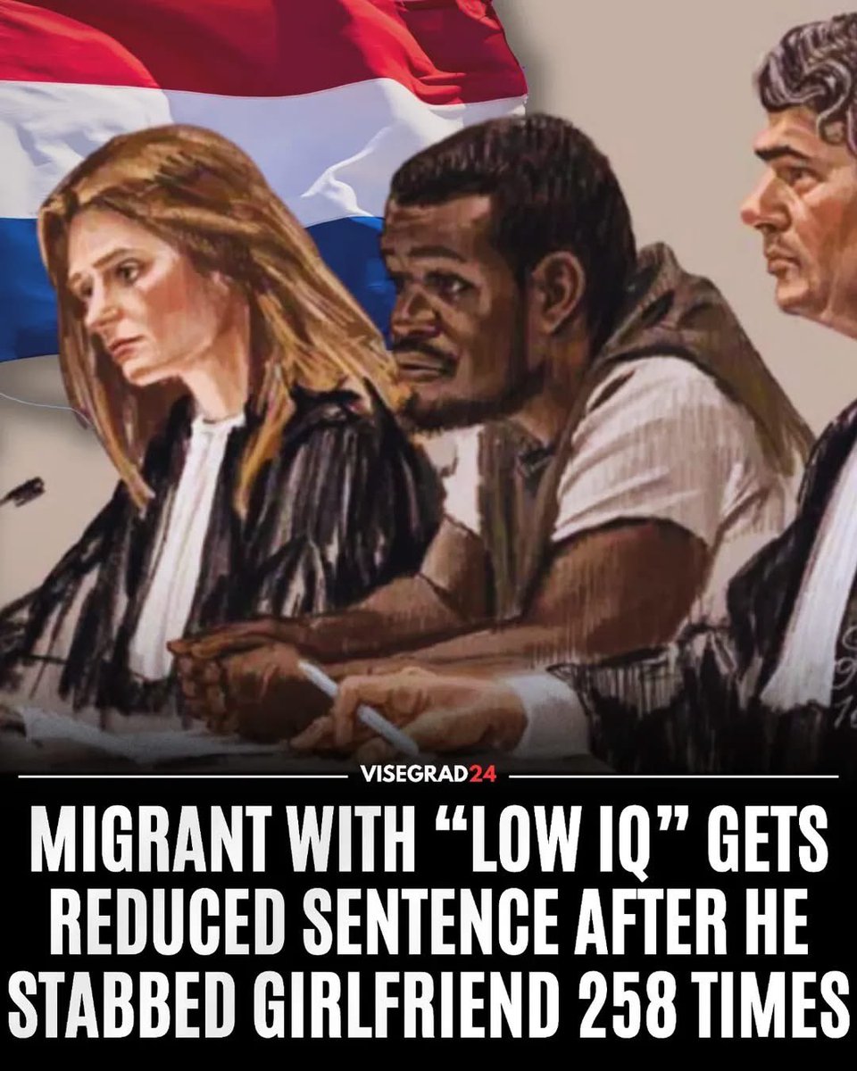 visegrad24's tweet image. 🇳🇱 A Dutch court has sentenced a migrant named Arnold Oforiwaa to 5 years in prison for stabbing his girlfriend 258 times.

The prosecutor only asked for 10 years in prison but the judge halved it to 5 years because Arnold was documented “to have very low IQ.”

He murdered his