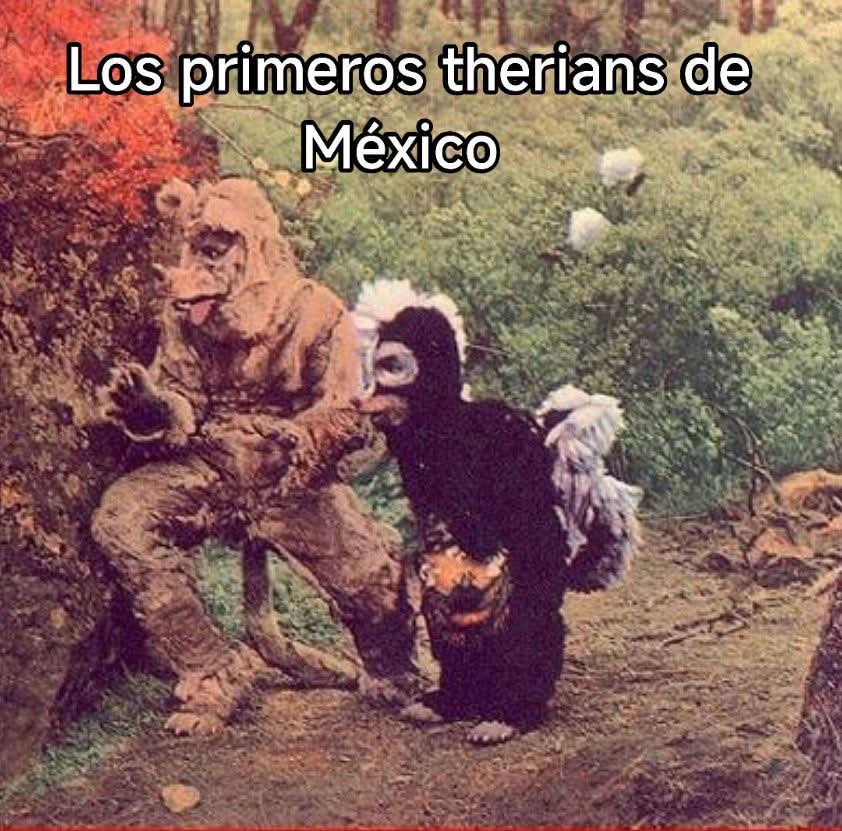 Pioneros y ellos si vivían en el bosque, no mmdas..