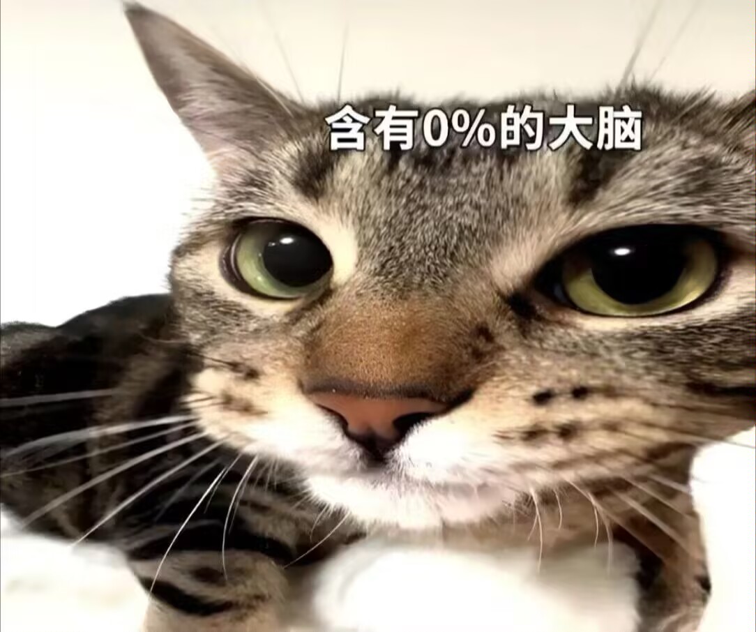 木棉面絮 tweet media
