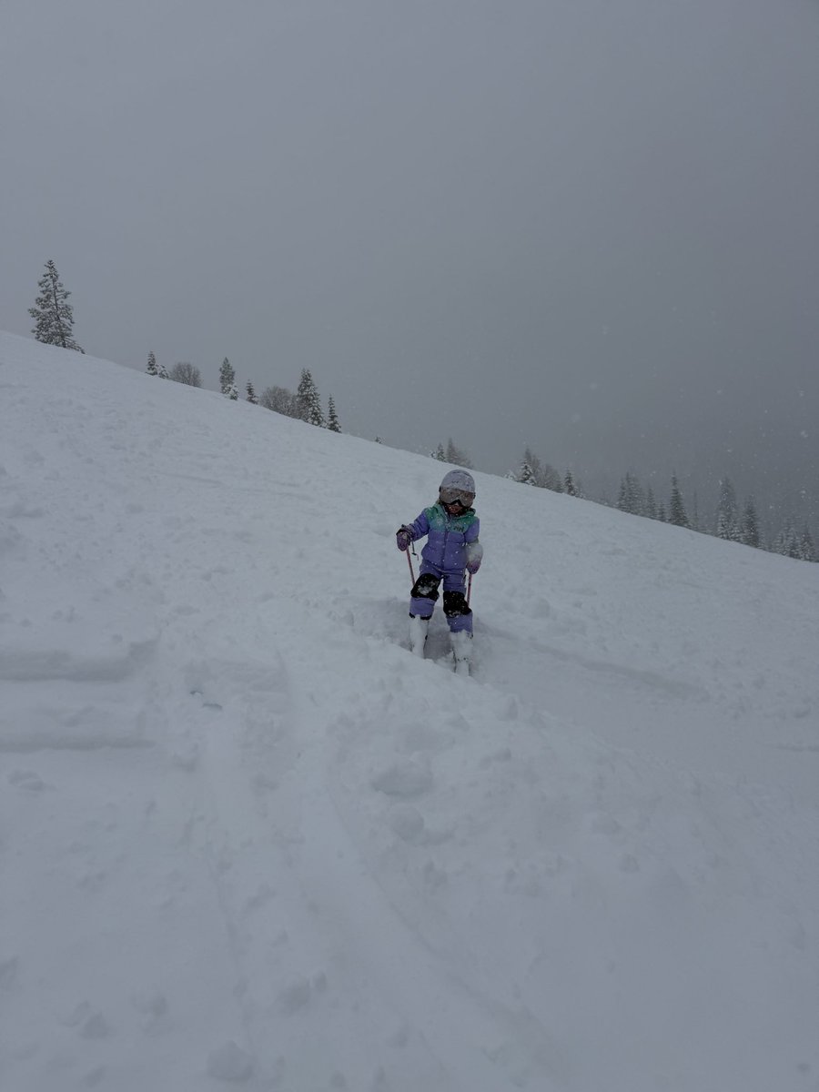 Ian Stone tweet media