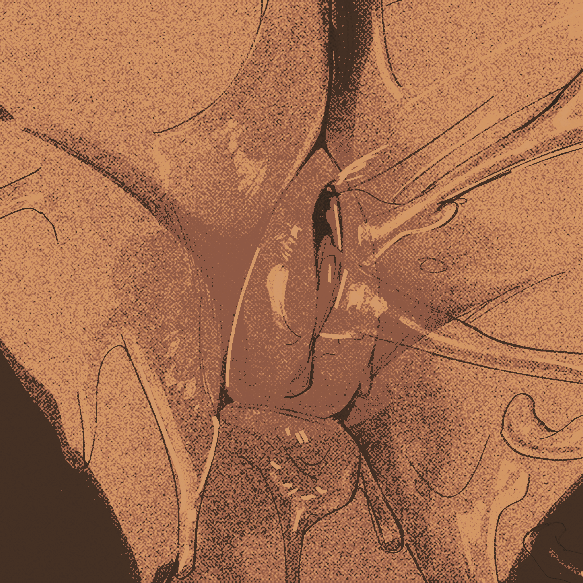 โ โ โโ โ ๐ต๐๐จ. โ เณ tweet media