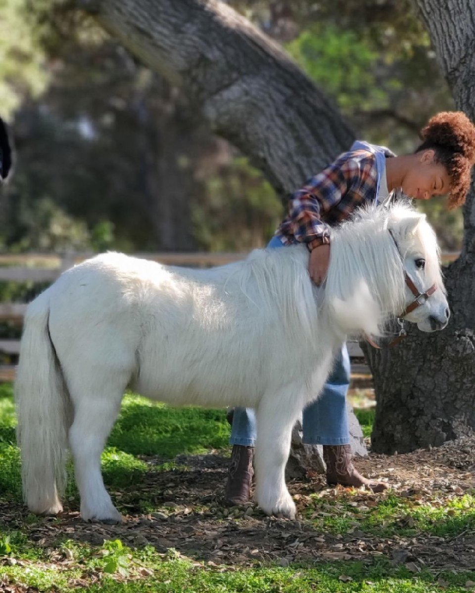 California Pictures Inc. tweet media