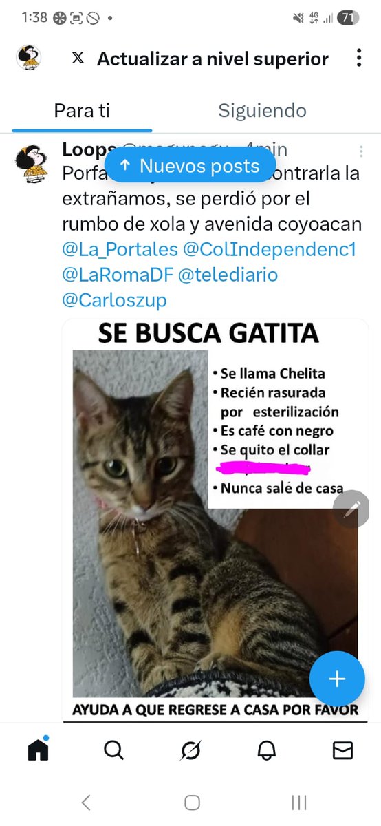 m_brisca's tweet photo. @ColDelValleBJ https://t.co/Xf3OI0dJK4