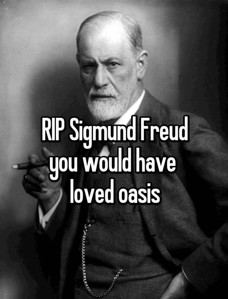 qimi | 16/11 tweet media