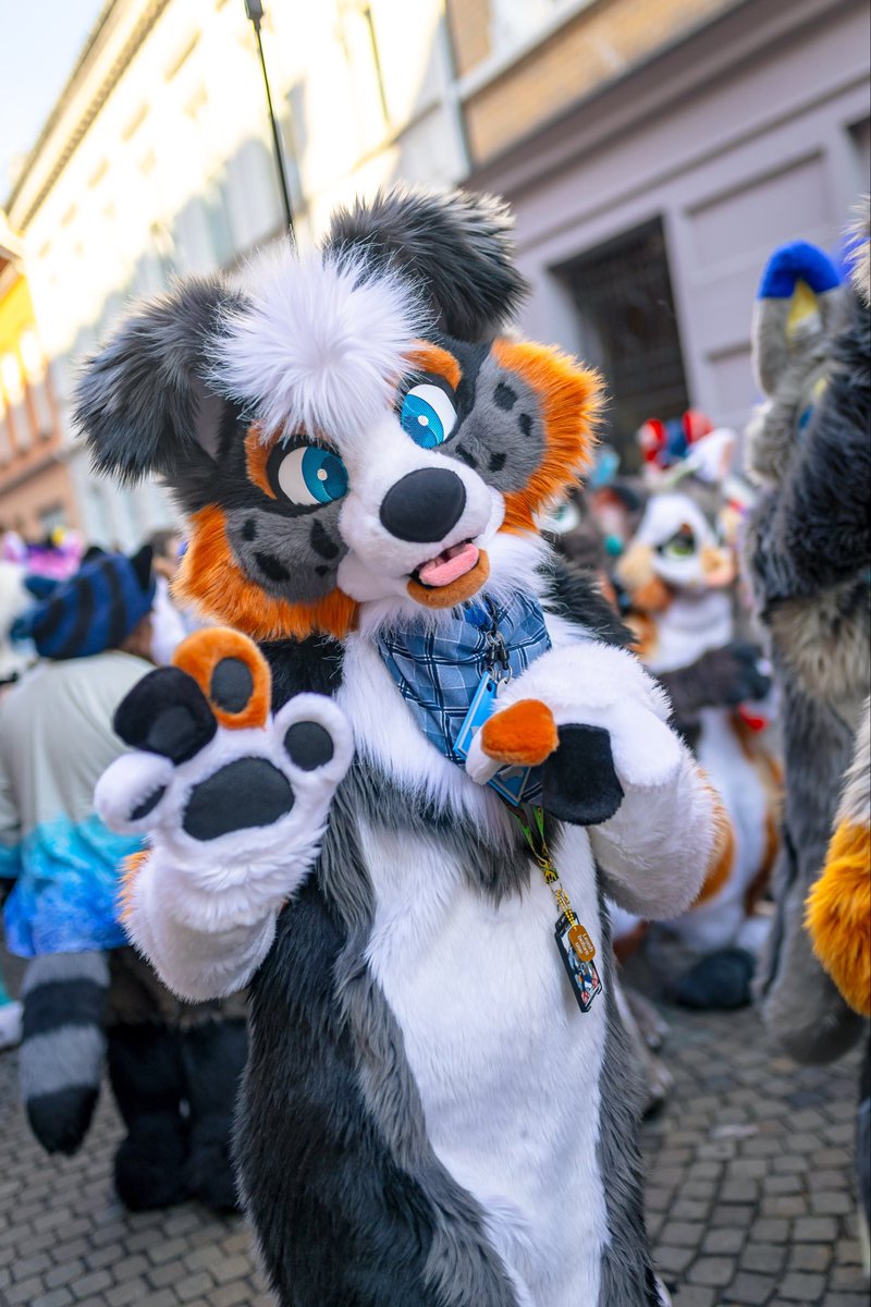 briar 🌺 tweet media