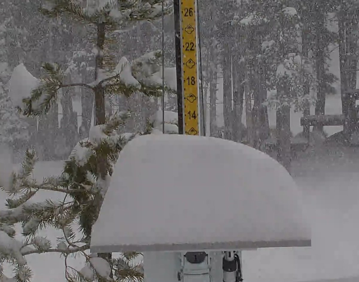 Tahoe Daily Snow tweet media