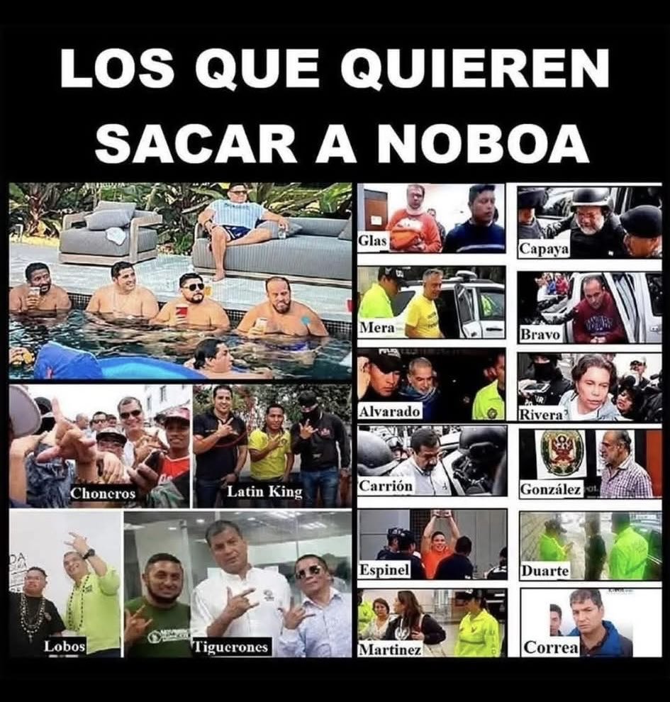 <a href="/geologymin10/">María José Torres⚒️</a> Vamos bien NOBOA PRESIDENTE para rato,  mínimo hasta 2033. Hasta acabar con esa plaga mafia banda cartel GDO RC5 de delincuentes terroristas robolucionarios Narcorreistas sociolistos Violadores chongueras rufianes gay vividores vagos ratas