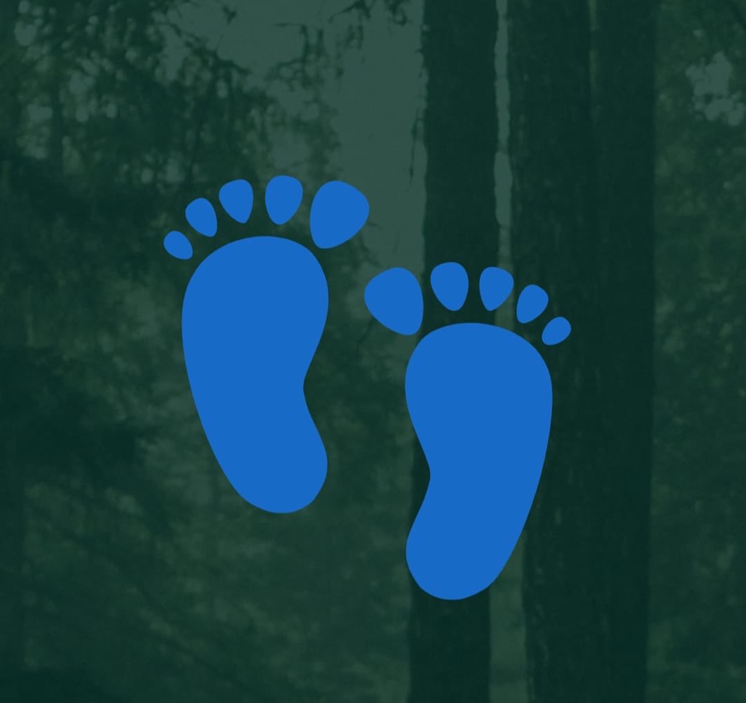 Thus begins the journey of Big Foot: 
uncovering hidden gem 💎 opportunities across multiple blockchain networks. 💥💥💥
#BigFoot
