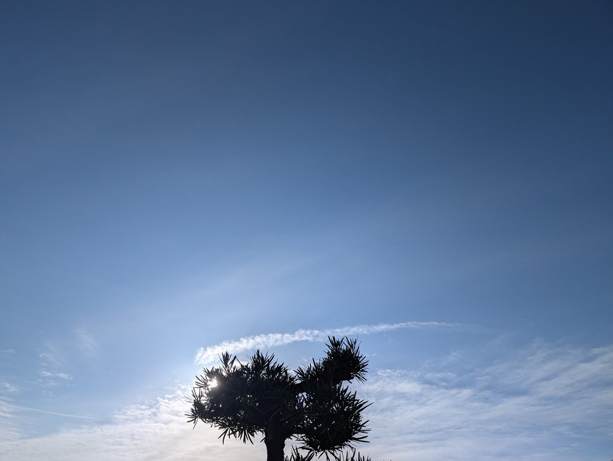 chi2ha4ru's tweet photo. #イマソラ
 #空の下で僕らは繋がる

当たり前だと思っていた空の下
気持ちいいね~«٩(*´ ꒳ `*)۶» https://t.co/O5UyDyrNGd