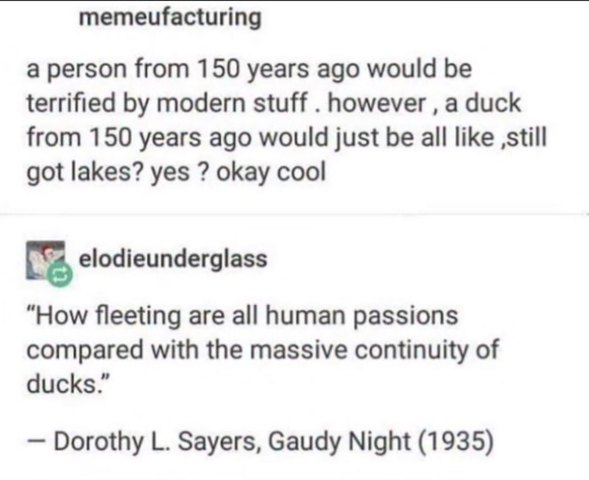 no context memes (@weirddalle) on Twitter photo 