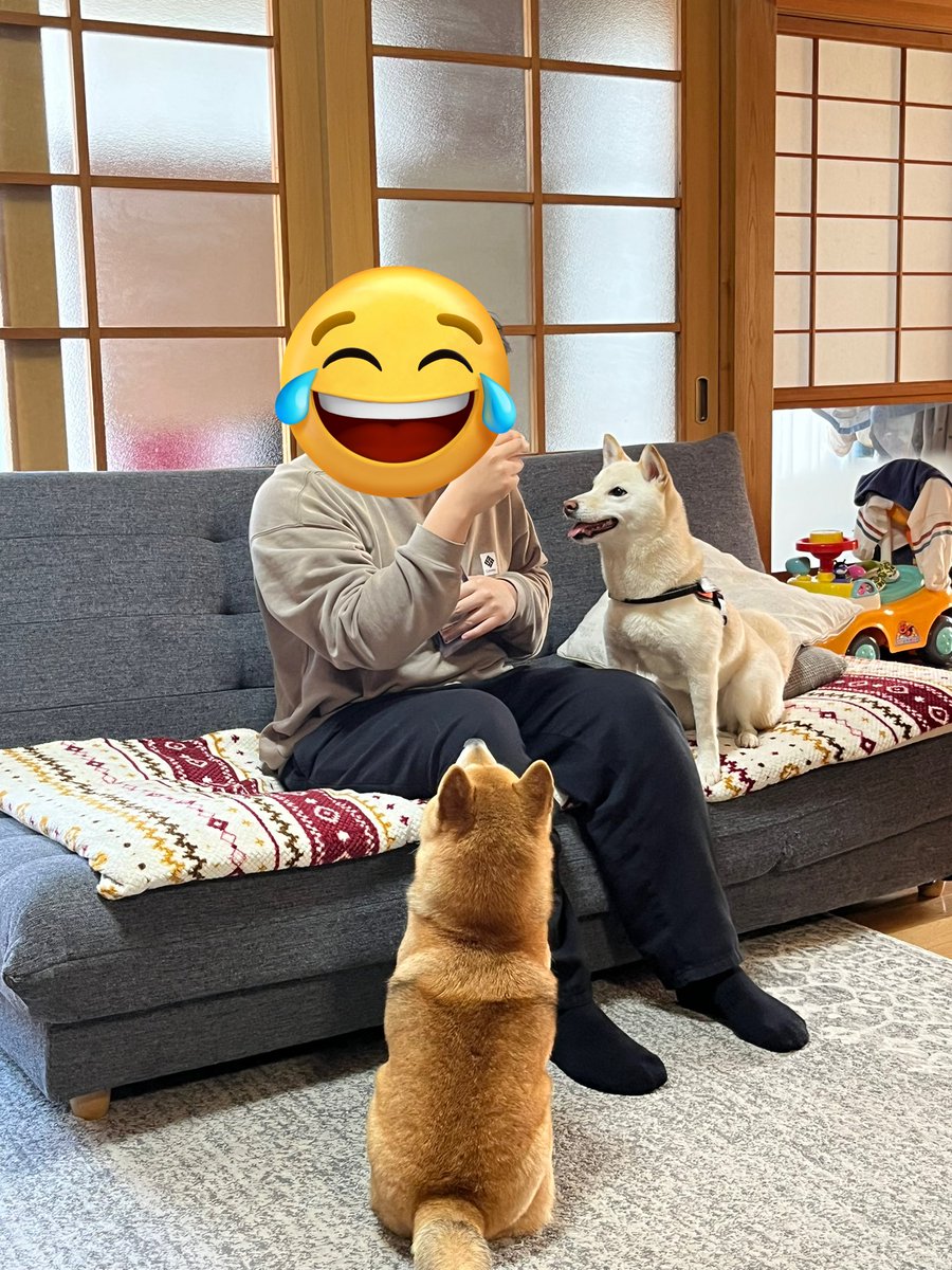 ふたえの豆太郎 (@siba_mametaro) / Posts / X