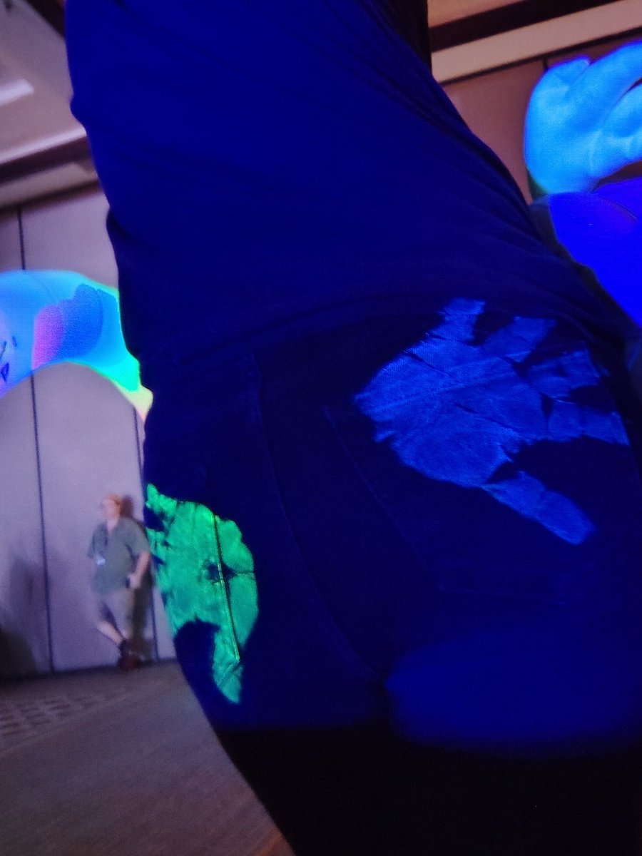 LavenFurSuits's tweet photo. The highlight of my weekend was my UV painted ass @TheRealAkiNeko lol https://t.co/lDOMkJ0sLU