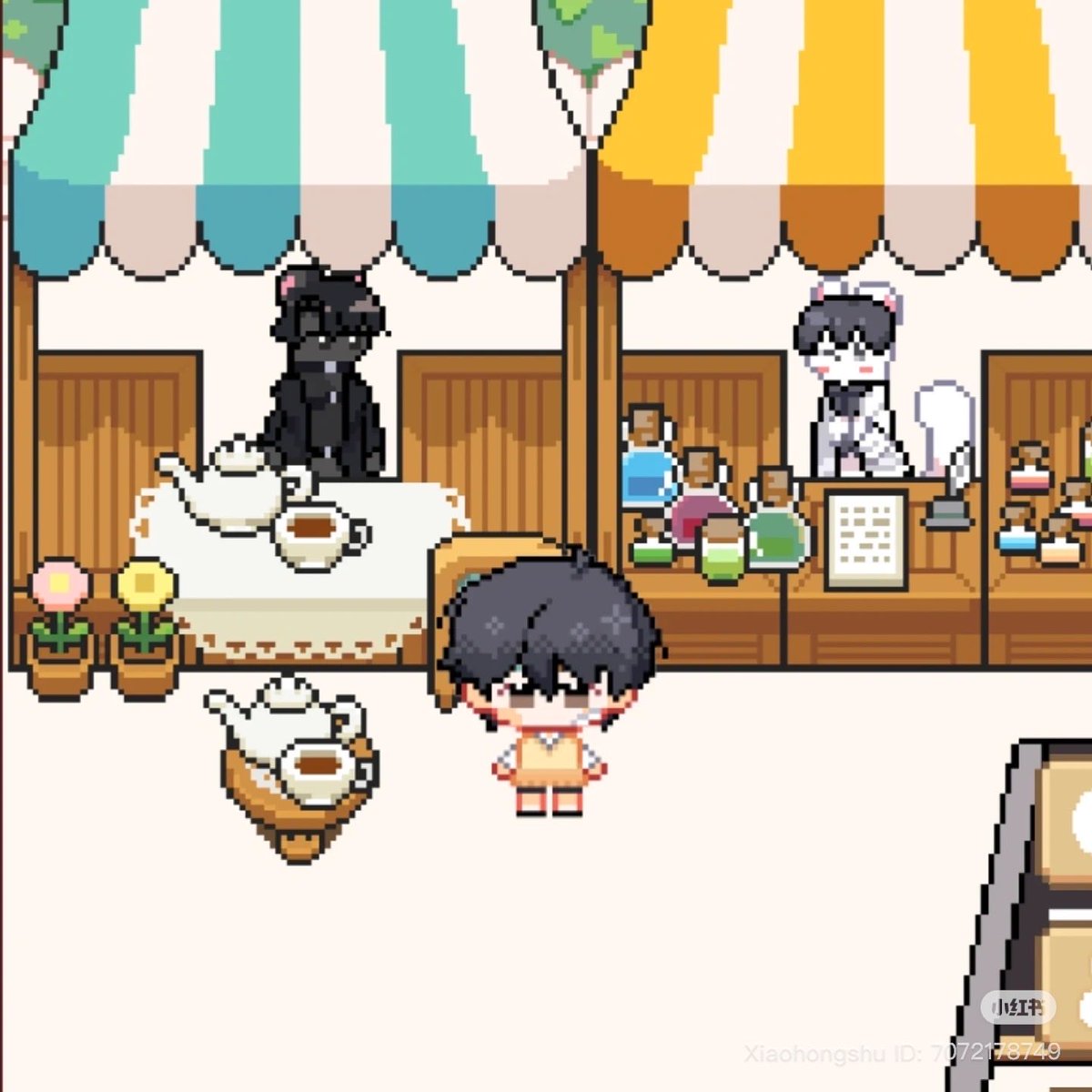 ✨MiniCini✨ tweet media