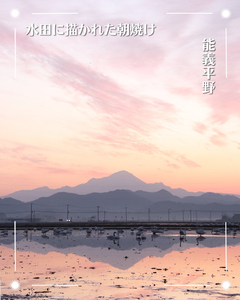 安来市 tweet media
