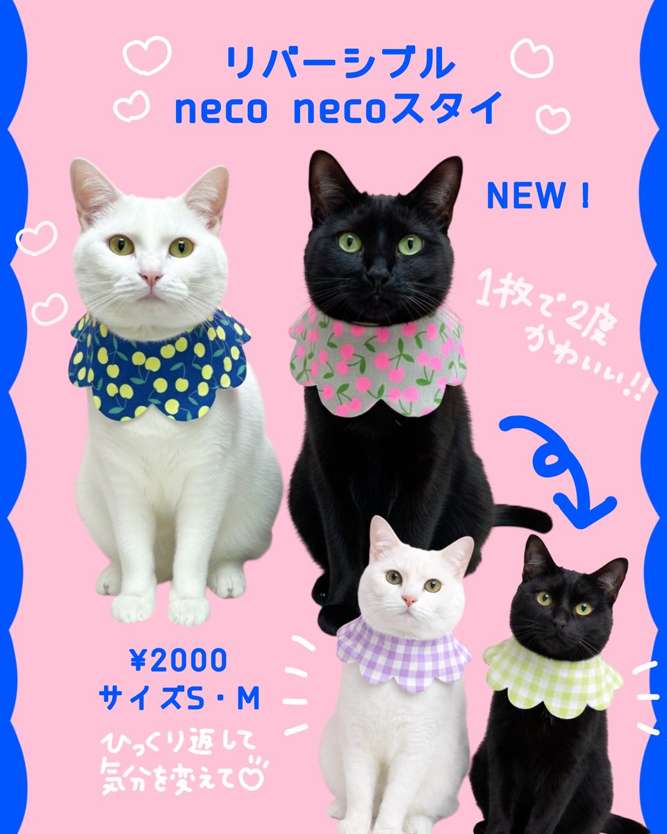 いよいよ！ 今週末はラブリーにゃんフェスタ😸❤️❣️ 国内最大級