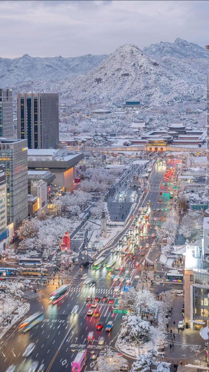 Winter in South Korea🇰🇷