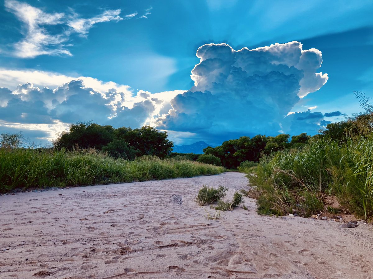 Clark Gable tweet media