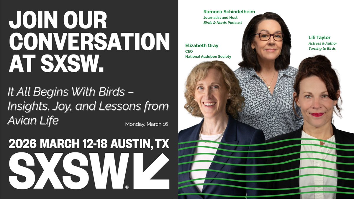 BirdsNerdsTalk's tweet photo. Just 4 weeks away from our @sxsw session exploring the ways birds enrich our lives. Not only do birds contribute to biodiversity and the stability of ecosystems, birdwatching carries psychological and emotional benefits – inspiring creativity, mindfulness, and a sense of wonder. https://t.co/wuNQhr6nbh