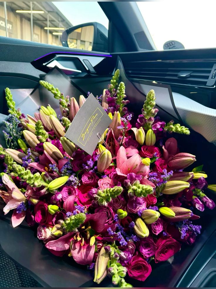 𝓣𝓱𝓮𝓑𝓵𝓸𝓼𝓼𝓸𝓶𝓢𝓽𝓾𝓭𝓲𝓸 (@phollukidukaan) on Twitter photo 