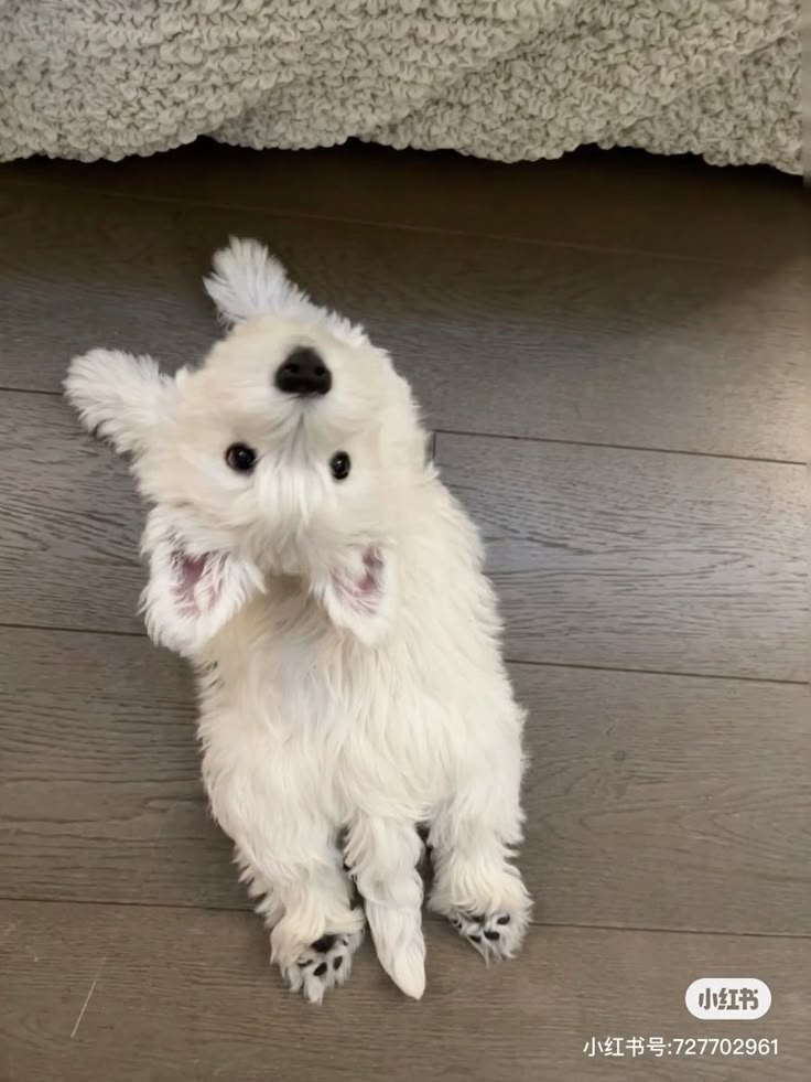 mmoo__h's tweet image. 거기 안녕ㅇ?
굿모니잉!!
새해 복 많이 많이 받아 여자들아🤍🤍