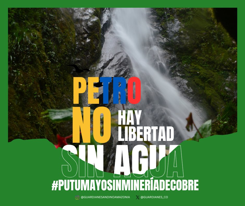 Guardianes_CO's tweet photo. 🚫No queremos minería metálica, queremos agua limpia🐟, selva viva🙌🏾 y comunidades protegidas ✊🏾🐯@petrogustavo defender el #Putumayo es defender la Amazonía🌿. #PutumayoSinMineríaDeCobre
@MarnIris  @PalmaEdwin  @IreneVelezT  @infopresidencia https://t.co/SD6GAwRnce