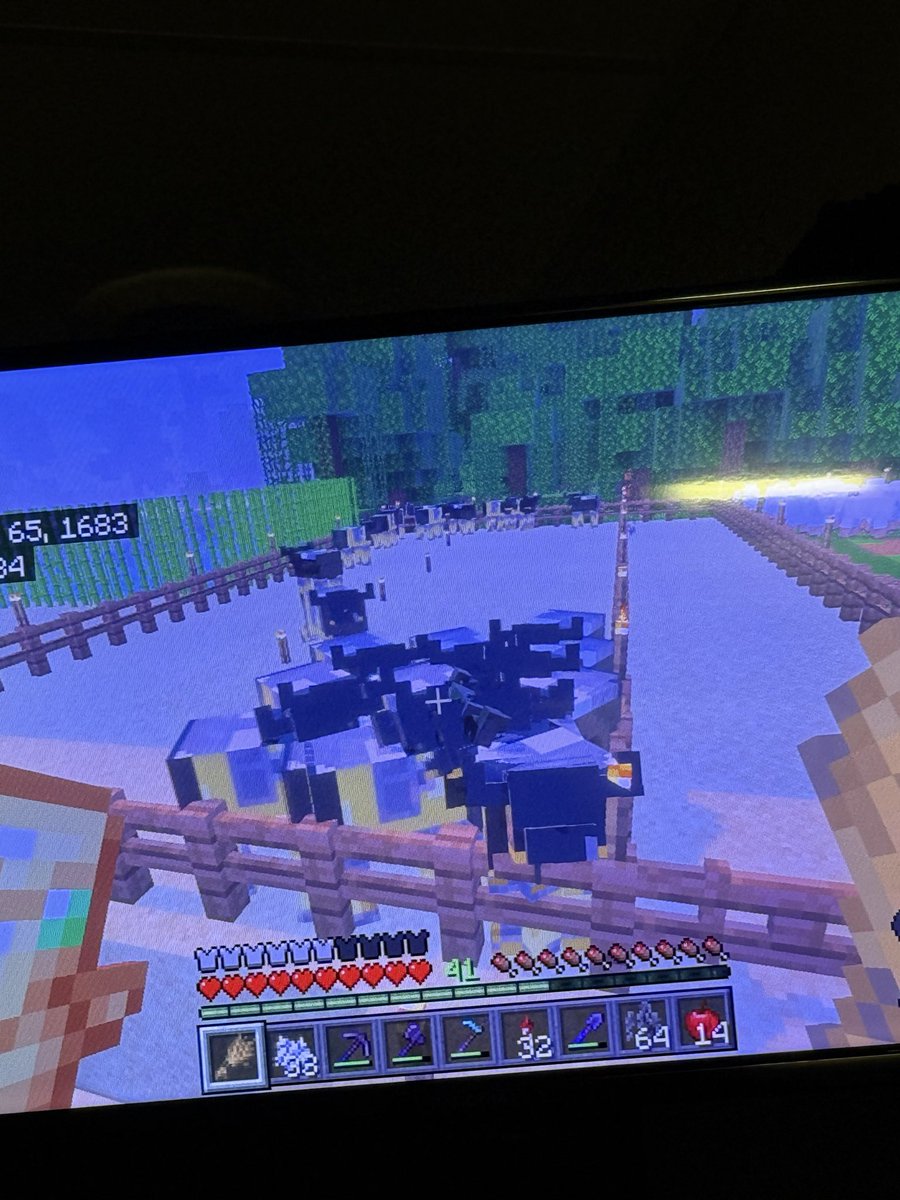 KalebVisgar's tweet photo. @ibxtoycat bedrock is so broken I now have creeper bees lmao😭😭😭 https://t.co/px2omVEGAI