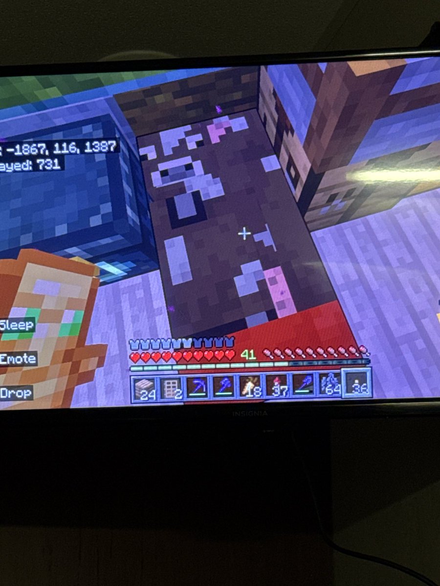 KalebVisgar's tweet photo. @ibxtoycat bedrock is so broken I now have creeper bees lmao😭😭😭 https://t.co/px2omVEGAI
