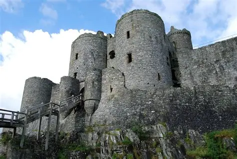 Pendragon Foundation tweet media