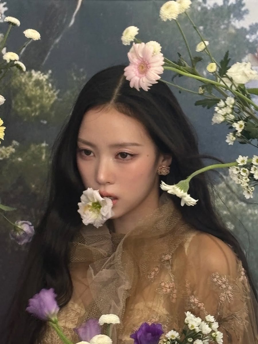 meovvpics's tweet image. 