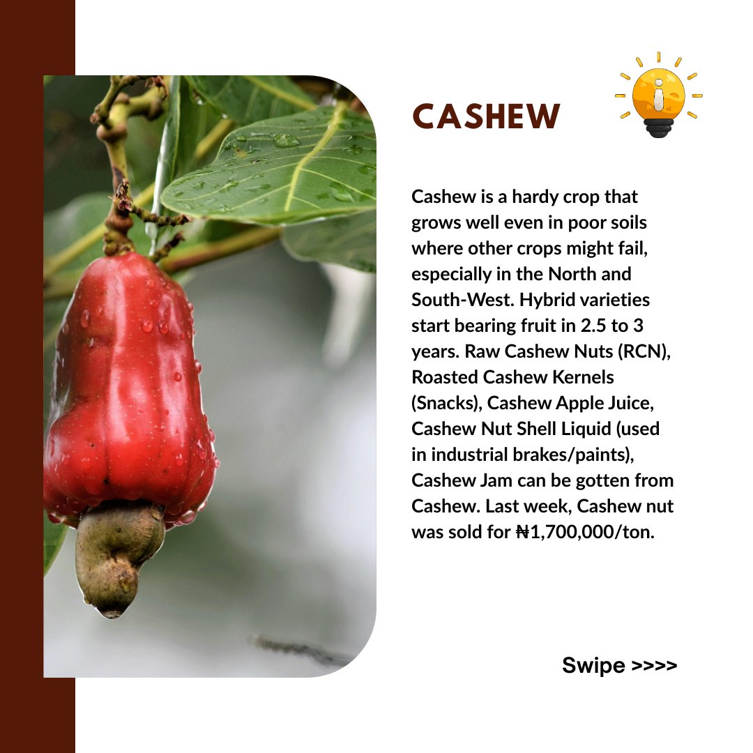 FarmSight LTD tweet media