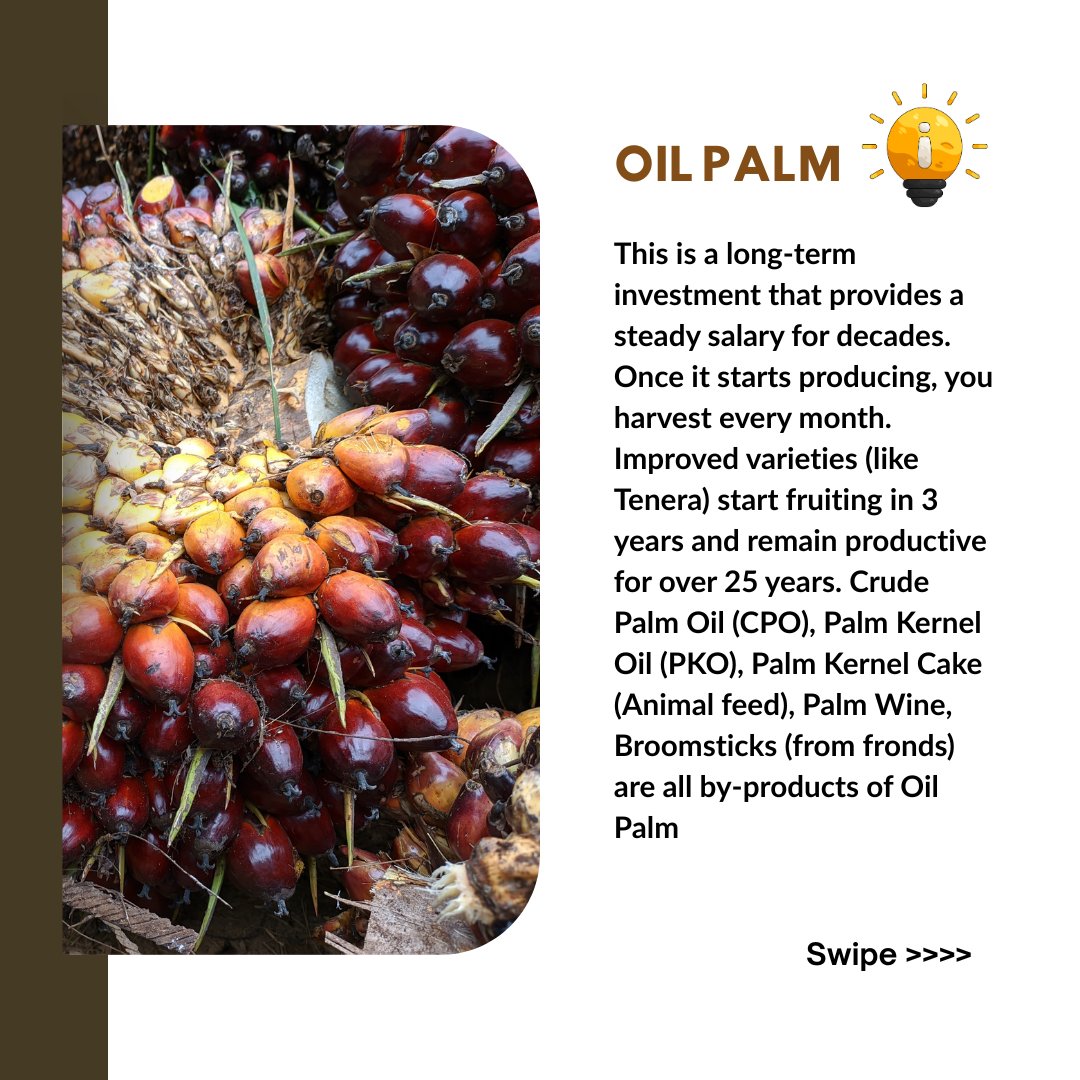 FarmSight LTD tweet media