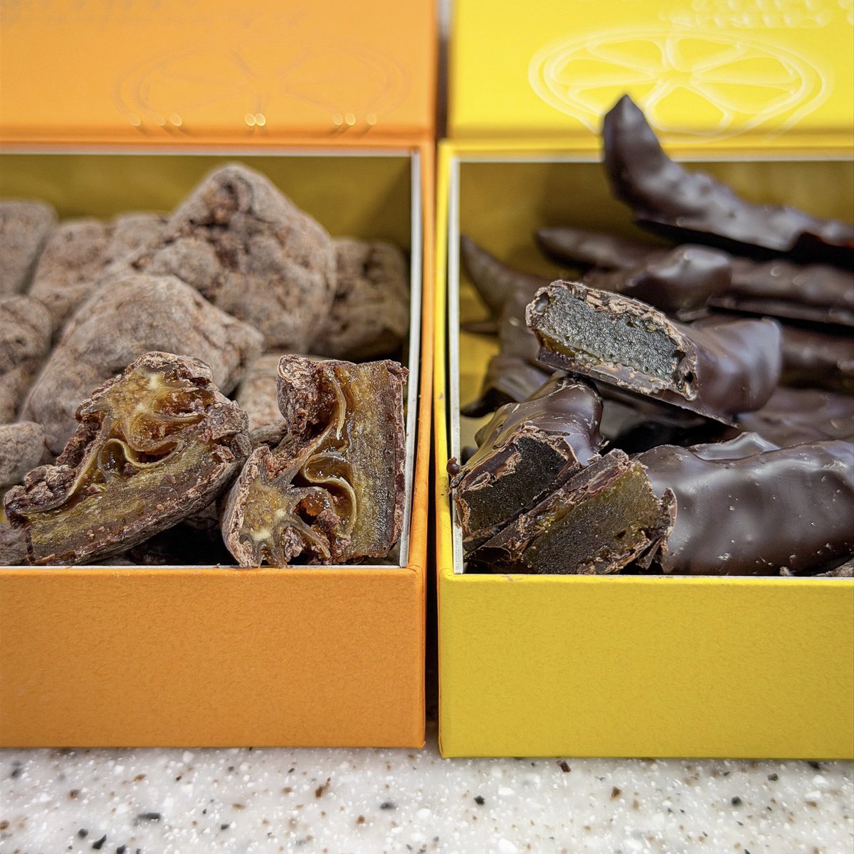 torantoroa33(トラントロア33)📍 #サロショ Part3(前後) ◇パンプル