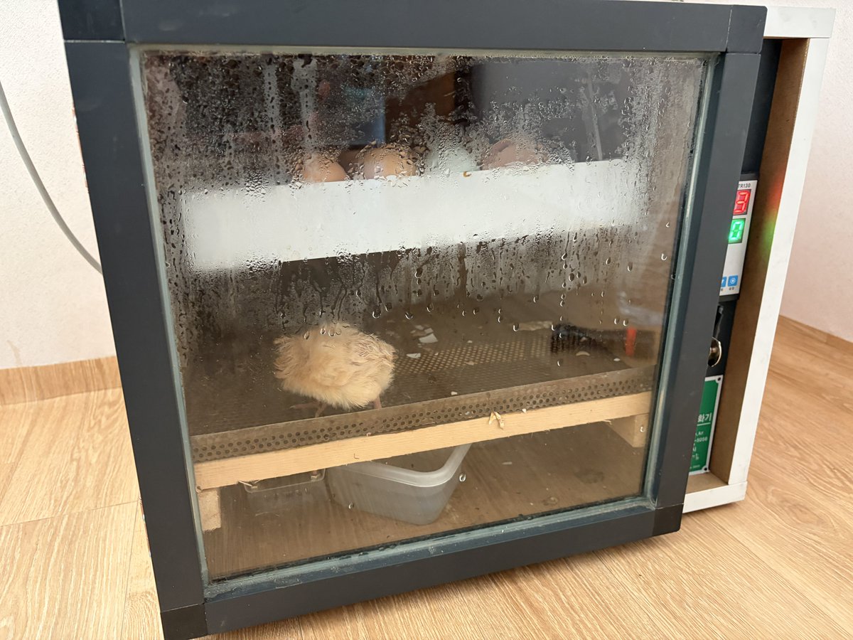 조군【프로 잉여™】 🐳🐬 tweet media