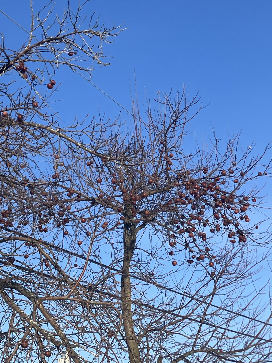 Bill (@wjneumire) on Twitter photo 