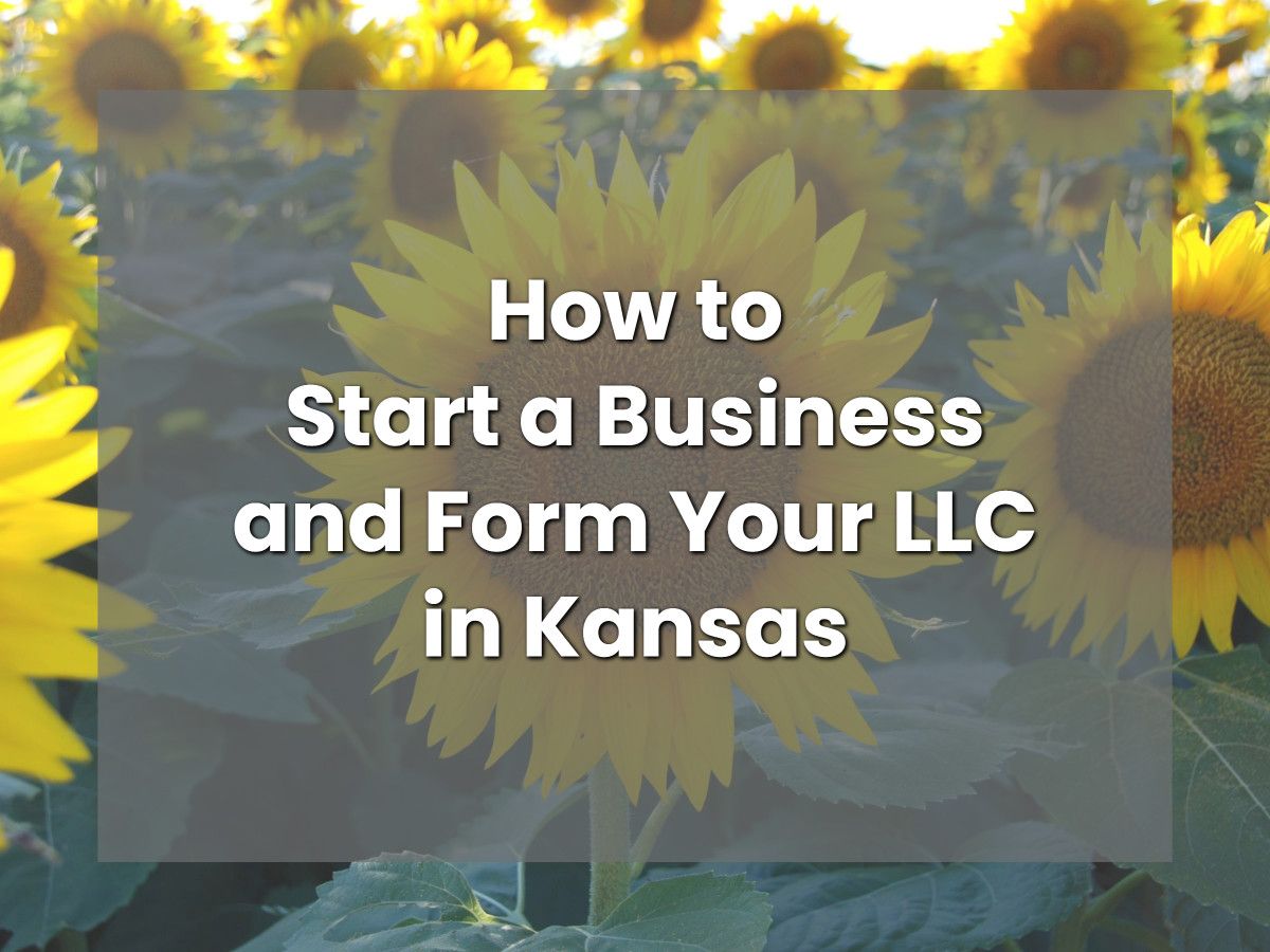 MyCompanyWorks's tweet photo. How to Start a Business and Form Your LLC in Kansas https://t.co/XI31pII0fs #smallbusiness #entrepreneur #leanstartup #formllc #getllc #applyforllc #llcformation https://t.co/joY0Gsv946