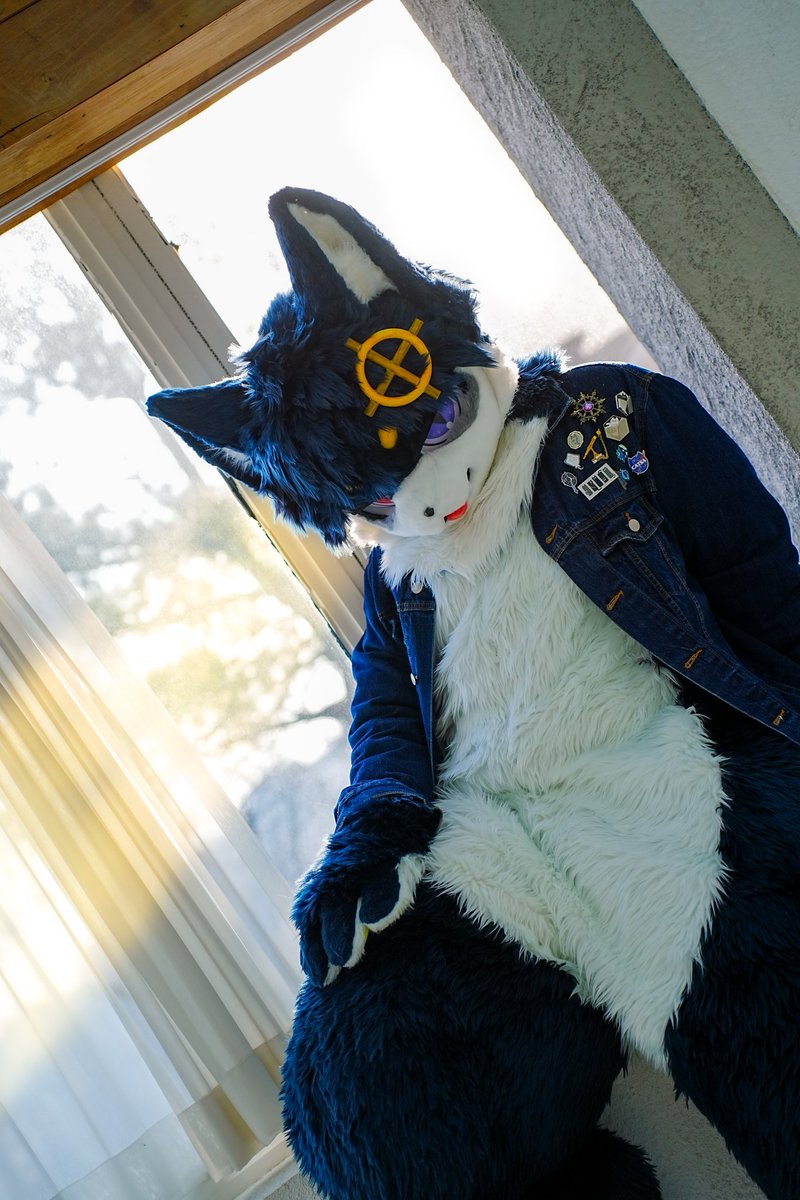 Compass Cat/argo tweet media