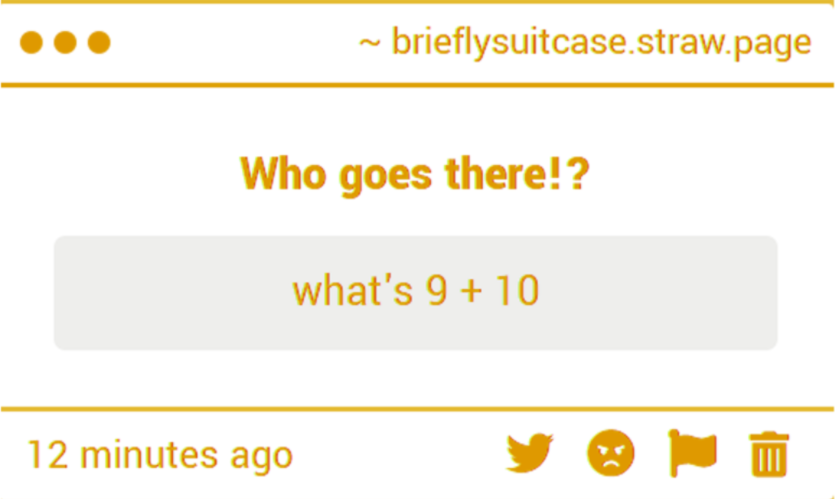 briefly suitcase ★ tweet media