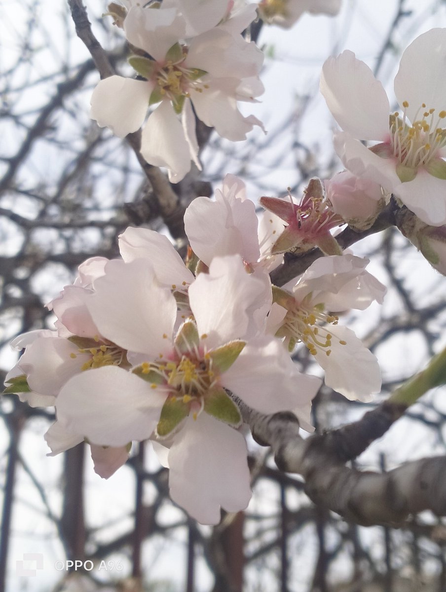 #decidereDi 
<a href="/UnTemaAlGiorno/">#UnTemaAlGiorno</a>