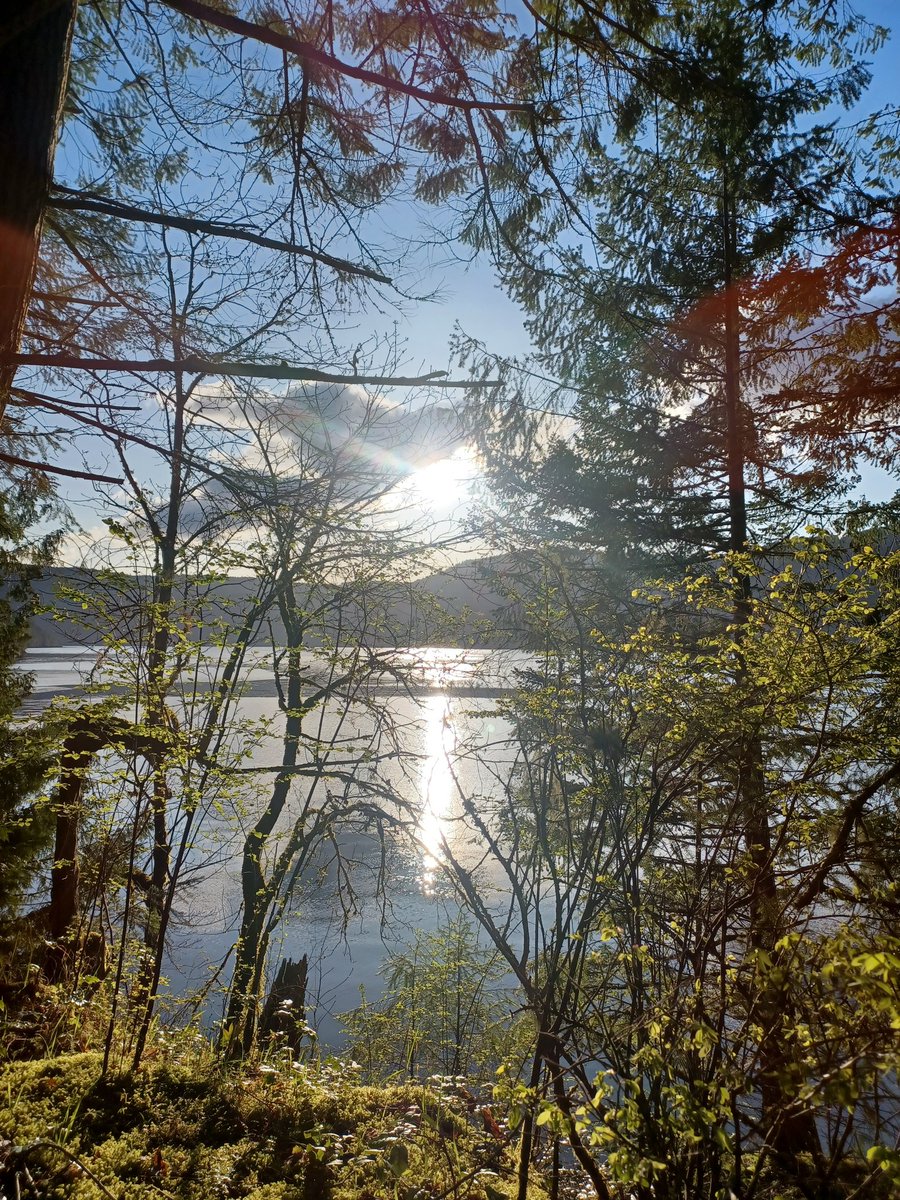 Josh Timms tweet media