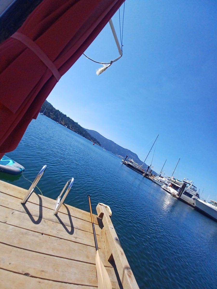 Josh Timms tweet media