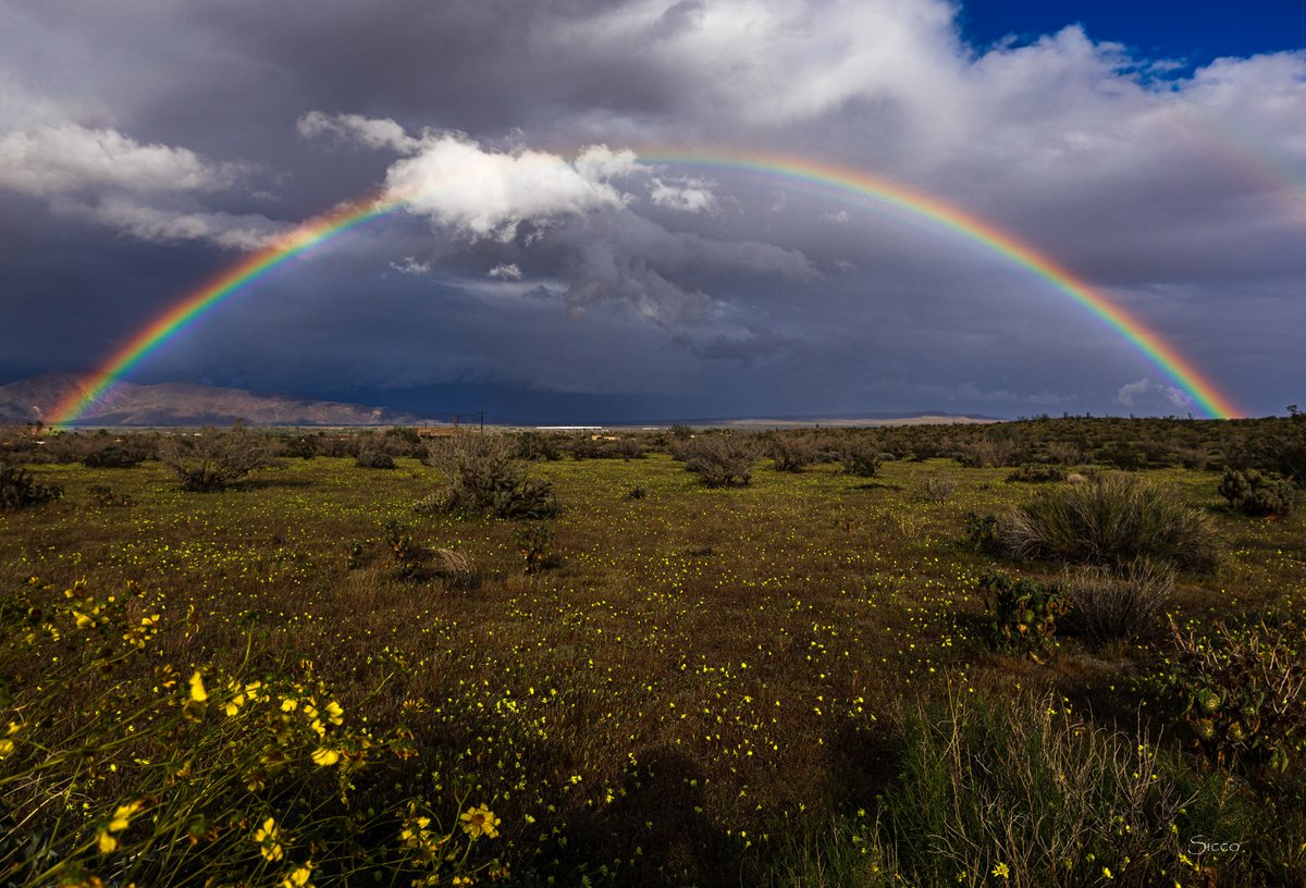 Anza-Borrego DRC tweet media