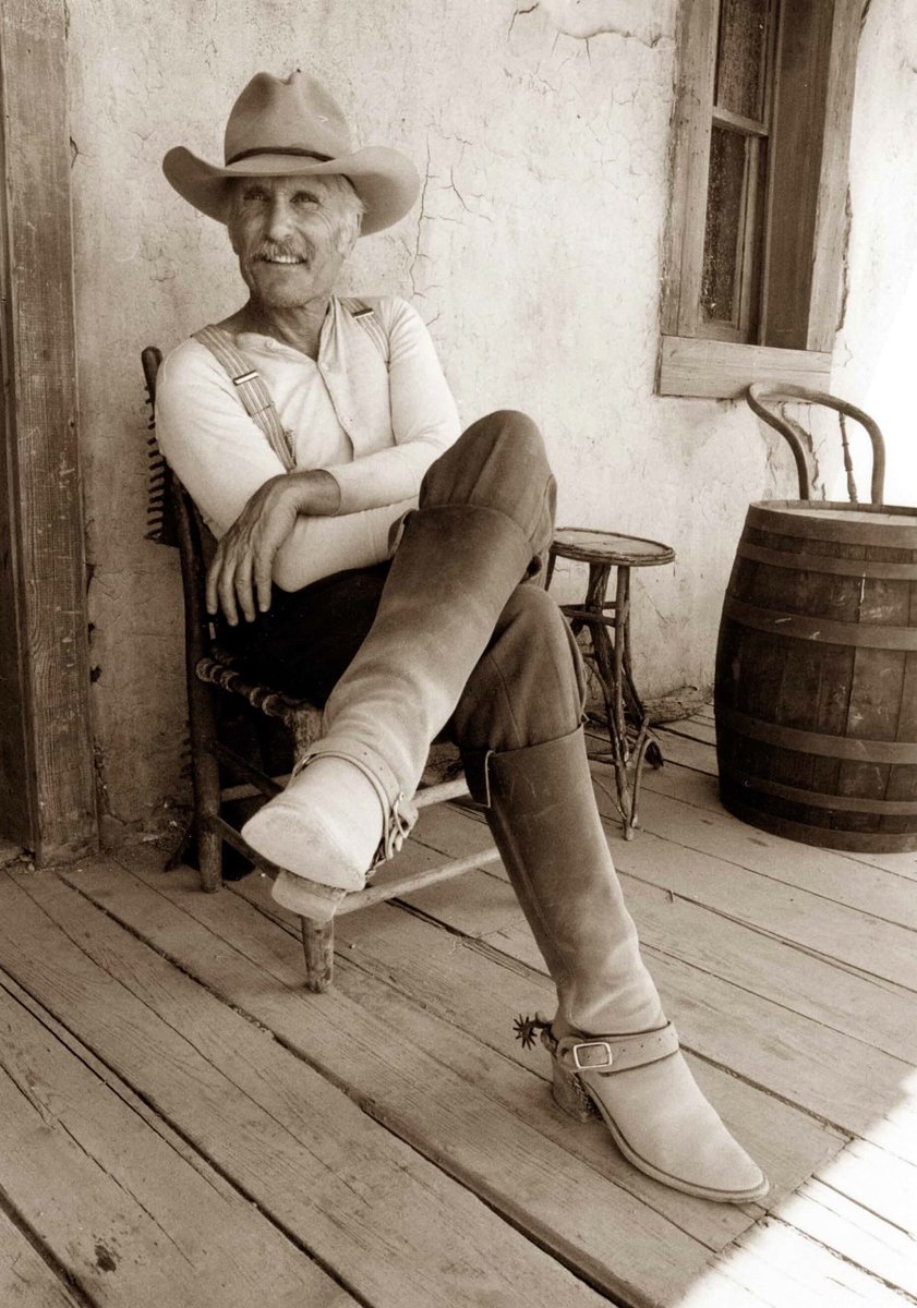 Robert Duvall, LONESOME DOVE